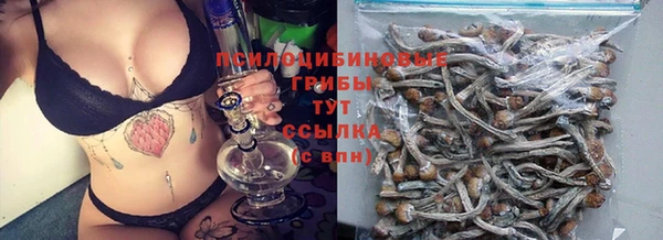 дмт Баксан