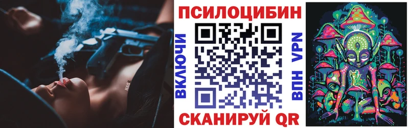 закладки  Горячий Ключ  Псилоцибиновые грибы мицелий 